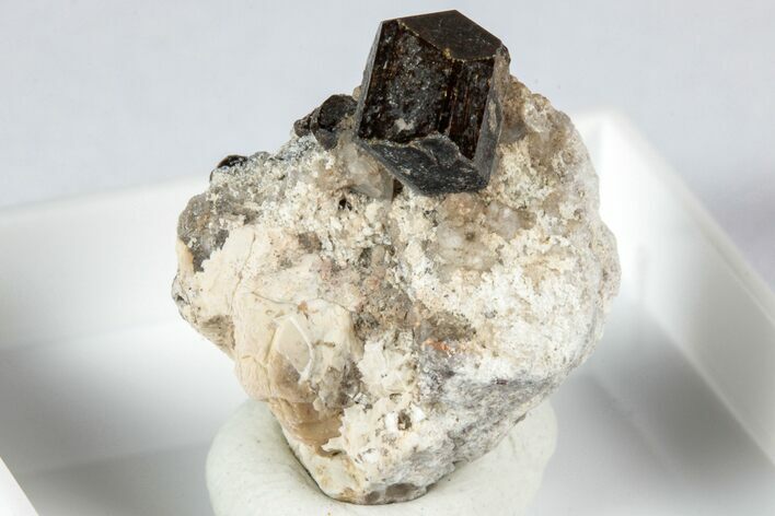 Lustrous Chocolate Fluor-Buergerite Crystals - Mexico #345039